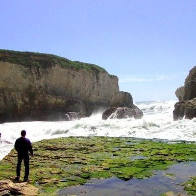 Mark Pellingra - Twitter Profile Picture of Mark Pellingra (@MarkPellingra) on Twitter