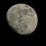 Profile Picture of Henry Jennings (@therealsciguy) on Instagram