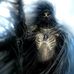 Profile Picture of Robert Schmidt (@robert.schmidt.1238292) on Facebook