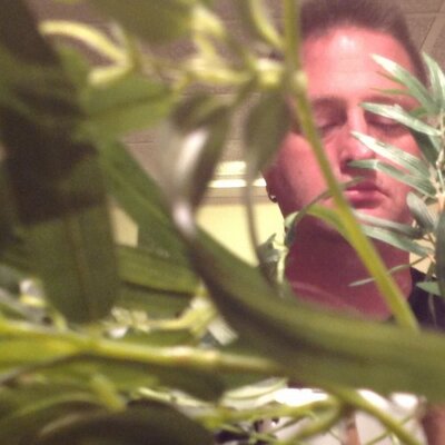 Profile Picture of David Shupe (@dcshupe) on Twitter