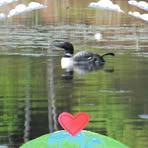 Profile Picture of Rosemary Docherty (@rosemary.docherty.2025) on Facebook