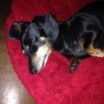 Paula Salisbury - Instagram Profile Picture of Paula Salisbury (@paulajeansalisbury) on Instagram