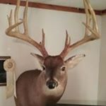 Profile Picture of Carl Massey (@massey9963) on Instagram