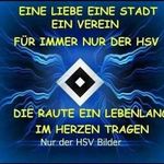 Profile Picture of Susanne Kießhauer (@susannekiesshauer) on Instagram