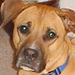 Profile Picture of Marvin Trepp (@marvintrepp) on Pinterest