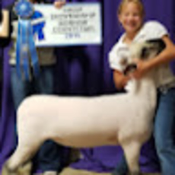 Profile Picture of Victoria Kovacs (@victoriakova642) on Poshmark