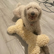 Alec Schwartz - Youtube Profile Picture of Alec Schwartz (@alecschwartz898) on Youtube