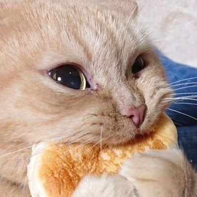 Profile Picture of Oswaldo Flores Rmz. (@ROswaldo) on Twitter