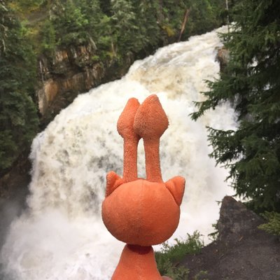 Profile Picture of Seth Robbins (@rustbelltower) on Twitter