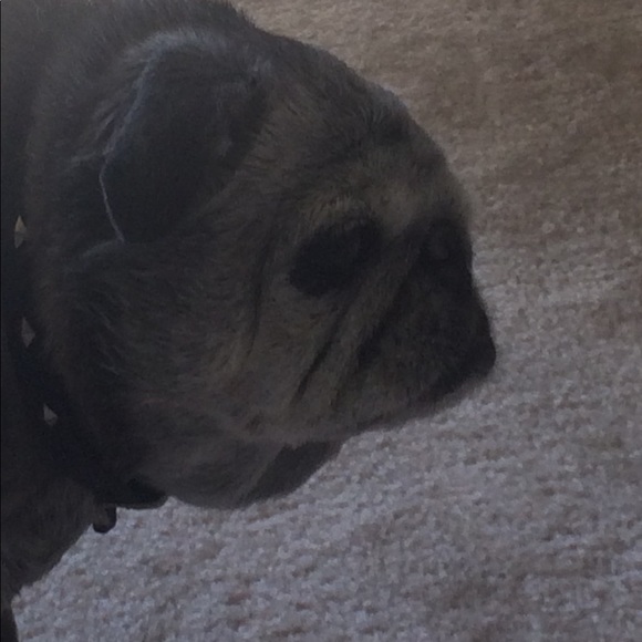 Profile Picture of Nancy Nymeyer (@nancynymeyer) on Poshmark