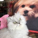 Profile Picture of Robbie Leichtung (@robbieleichtung) on Instagram
