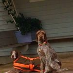 Profile Picture of Nancy Turner (@turner9616) on Instagram