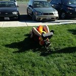 Profile Picture of Nick Rowley (@nicholas_rowley_rocks) on Instagram