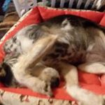 ray james adcock - Instagram Profile Picture of ray james adcock (@rayjamesadcock) on Instagram