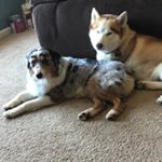 Profile Picture of Antonio Rowe (@antonio.rowe257) on Instagram