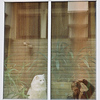 Profile Picture of Scott Cambridge (@Scott Cambridge) on Flickr