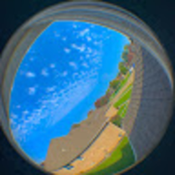 Profile Picture of Ally Brickler (@allybrickler) on Poshmark