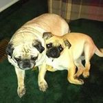 Profile Picture of Myra Meyers (@myralynne2) on Instagram