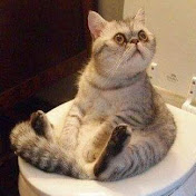 Profile Picture of Benjamin Mangum (@benjaminmangum5582) on Youtube