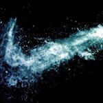 Profile Picture of Tanner Arnold (@shoe_god16) on Instagram