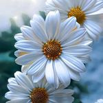 Profile Picture of Lisa Boshers (@boshersl) on Instagram