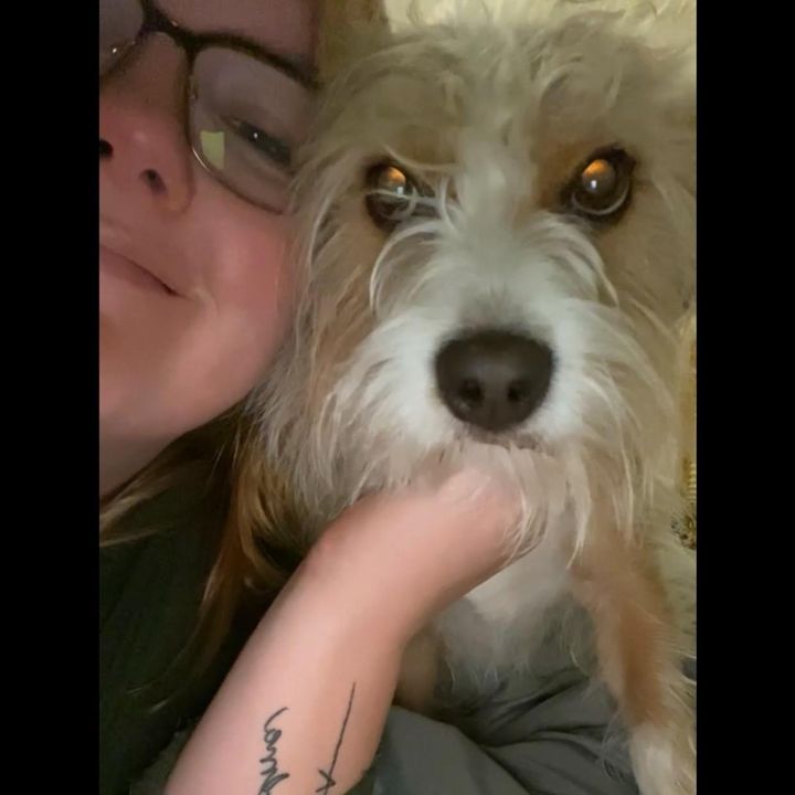 Hanna Corning - Tiktok Profile Picture of Hanna Corning (@userwe9ssuo6g1) on Tiktok