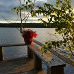 Profile Picture of Steven Meldrum (@dumfriesmeldrum) on Instagram