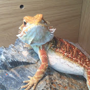 Profile Picture of Max Harrington (@maxharrington101) on Youtube