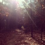 Profile Picture of David Calabrese (@davecalabrese) on Instagram