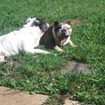 Profile Picture of Meredith Ray Jones (@dievensys) on Instagram