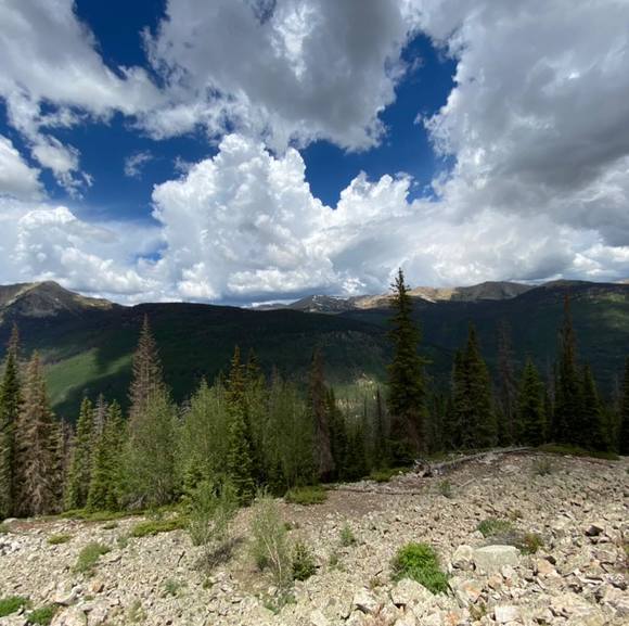 Profile Picture of Maria Silva (@mariasilva865) on Poshmark