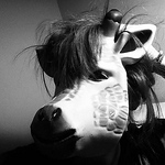 Profile Picture of Huang Pei Jing 黃姵靜 (@owlworker) on Flickr