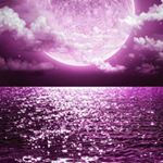 Michelle Ann Burkhart - Instagram Profile Picture of Michelle Ann Burkhart (@michelle.burkhart.12) on Instagram