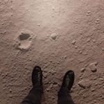 Profile Picture of Martin Gantner (@der.gantner) on Instagram