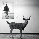 Profile Picture of 张海旭 (@haixuzhang) on Instagram