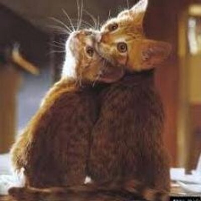 Profile Picture of Reem Saeed (@reemsaeed9) on Twitter