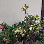 Profile Picture of Erica Samsel (@Erica-Samsel) on Facebook