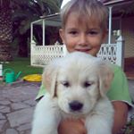 Profile Picture of adrian forcen monge (@forcen04) on Instagram