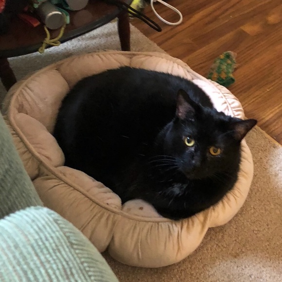 Profile Picture of Lyris Byers (@lyirs) on Poshmark