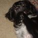 Profile Picture of Mary Metcalf (@marym8226) on Pinterest