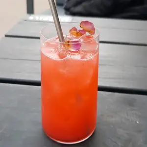 Profile Picture of Hi! Love yall!🐱 (@_.sun.xx.cat_drop) on Tiktok