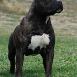 Profile Picture of Darwin (@darwintpowell2727) on Instagram