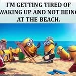 Profile Picture of Janice Ireland (@irelandjanice) on Instagram