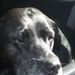 Profile Picture of Amy Montalvo (@amymontalvo1) on Pinterest