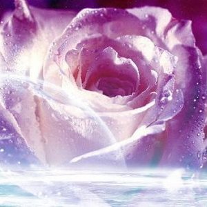 Profile Picture of April Hendricks (@aprildhendricks) on Twitter