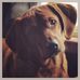 Profile Picture of Heidi Sitts (@heidi.sitts) on Facebook