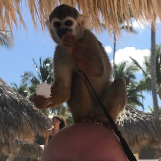 Profile Picture of Larry Barber (@larrybarber) on Instagram