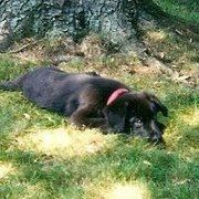 Julia - Pinterest Profile Picture of Julia (@juliaoberle) on Pinterest