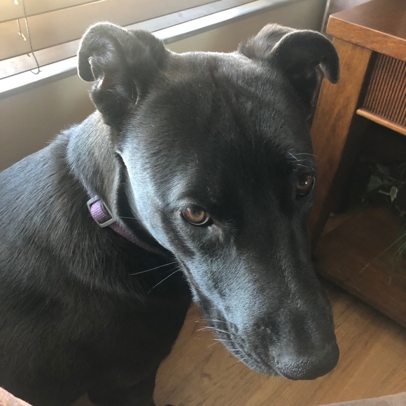 Profile Picture of Chris Magdaleno (@chrismagdaleno) on Poshmark