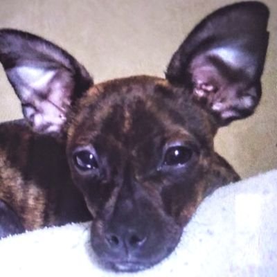 Profile Picture of Ava Pearson (@AvaPear89327594) on Twitter